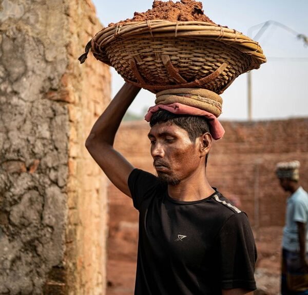 emerging industry opportunity insights