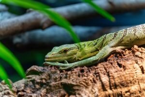 correlation pattern analysis log