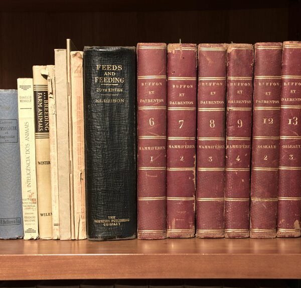 final code series archive