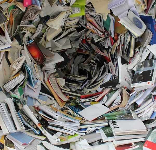 final dataset closure summary