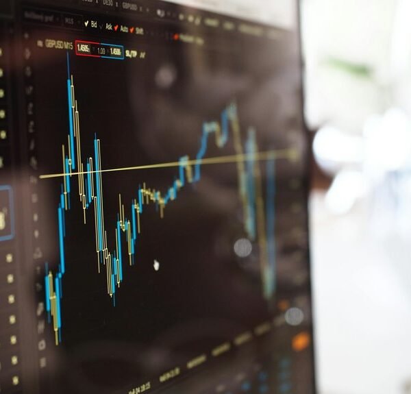 numerical portfolio ingestion details