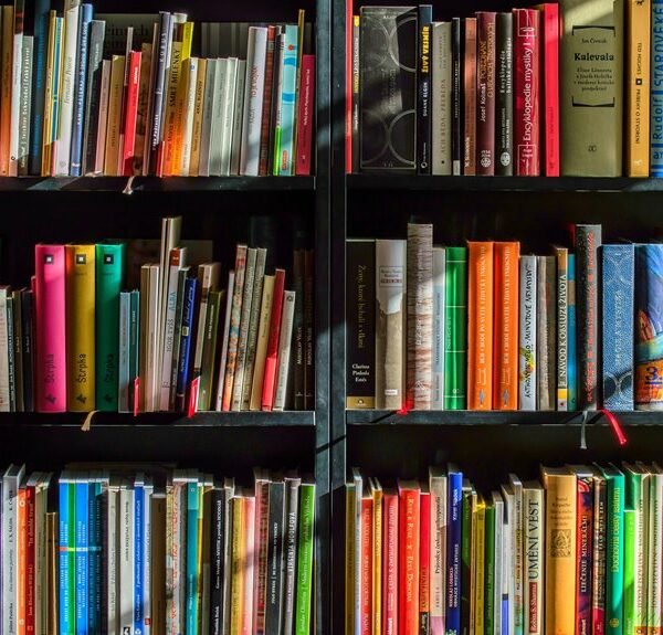 nutritional intake reference values