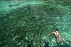 reference pool consolidation ledger