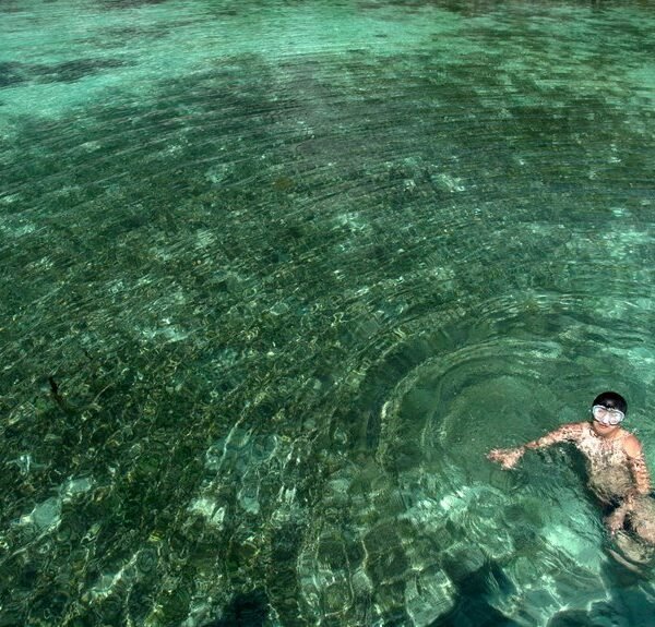 reference pool consolidation ledger