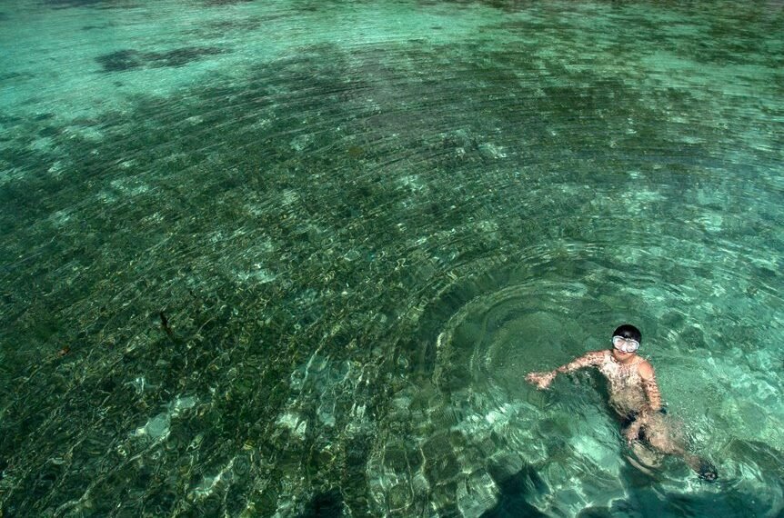 reference pool consolidation ledger