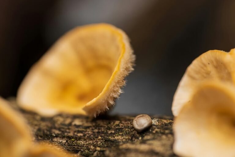 reference sequence validation log